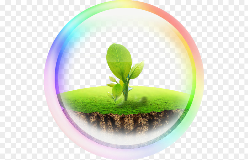 Earth,protect The Earth Download PNG