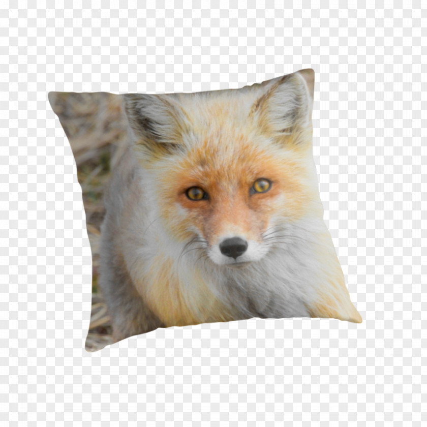 Fox Material Red Fur Snout Wildlife PNG