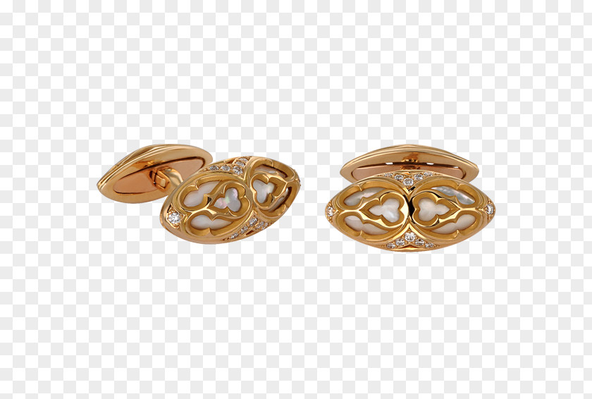 Jewellery Earring Body 01504 Silver PNG