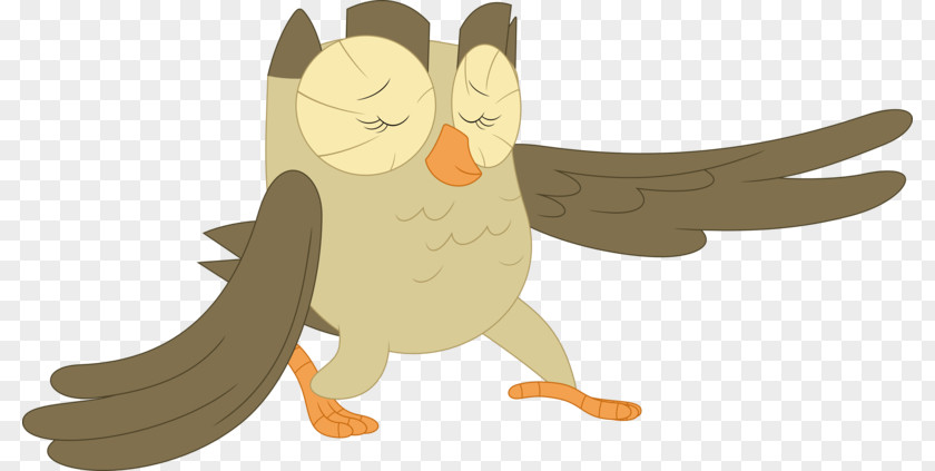 Owl Beak Animated Cartoon PNG