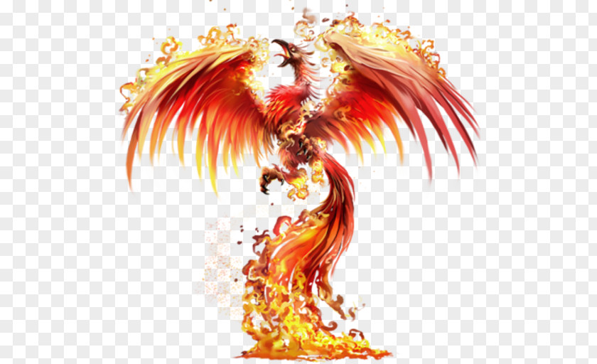 Phoenix Firebird Drawing Image Tattoo PNG