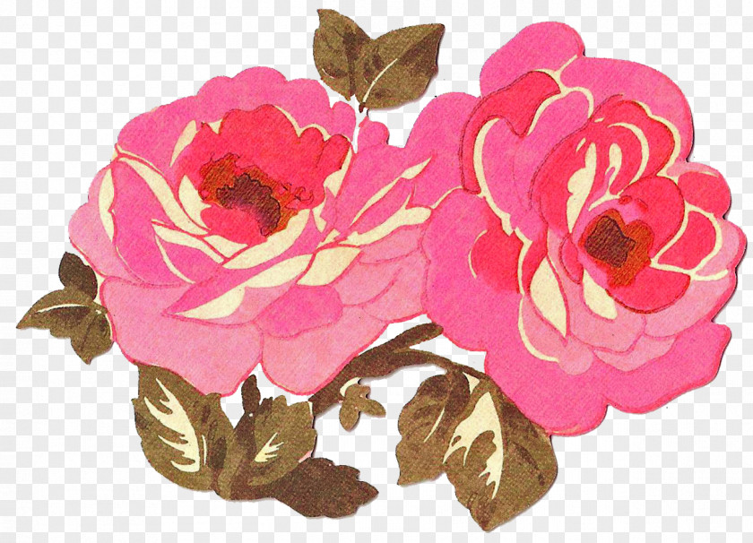 Vintage Valentine 400 X 150 Garden Roses Cabbage Rose Floral Design Valentine's Day Cut Flowers PNG