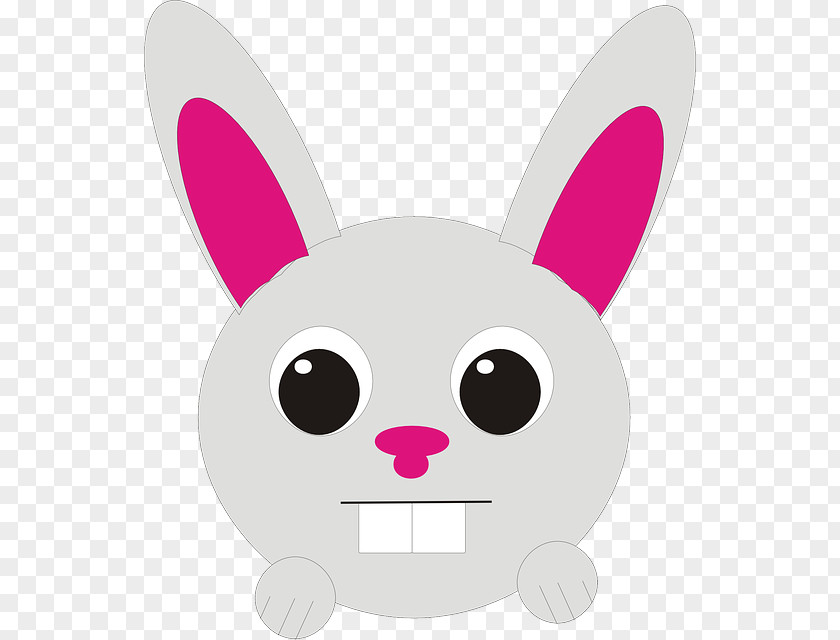 Cartoon Teeth Expression Domestic Rabbit Clip Art PNG