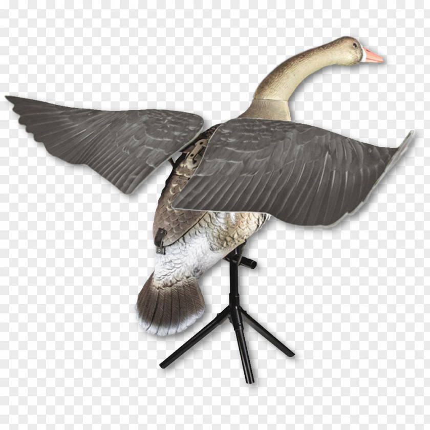 Goose Swan Duck Mallard Decoy PNG