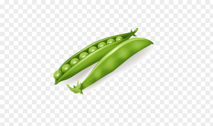 Pea Vegetable Vegetarian Cuisine Clip Art PNG