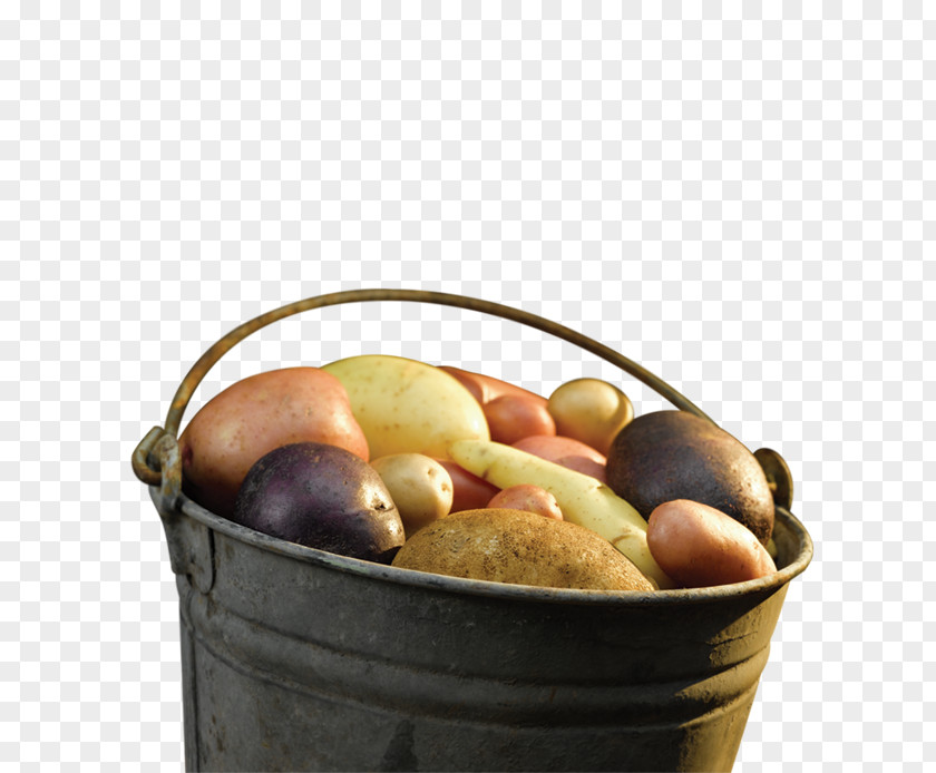 Potato Fruit PNG