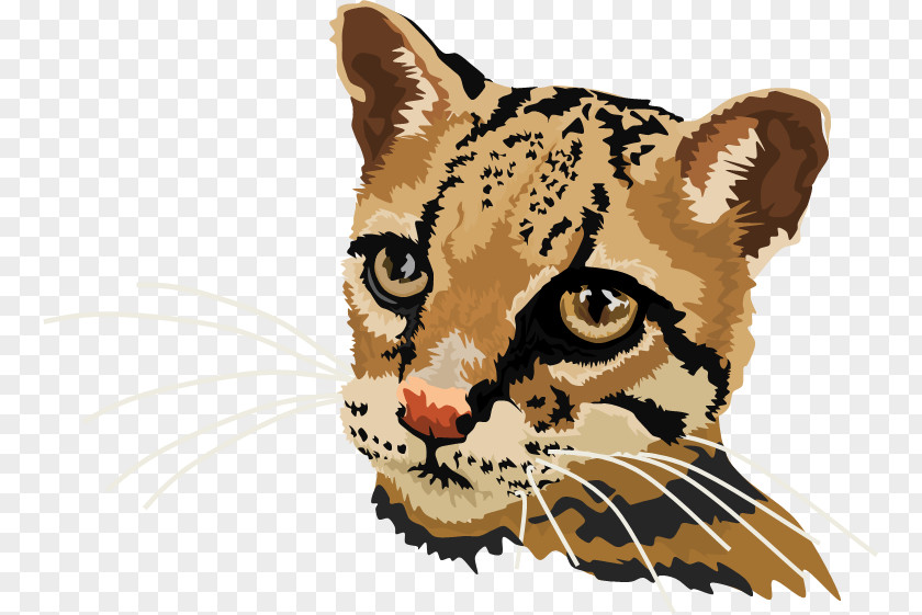 Red Tiger Oscar Whiskers Leopard Ocelot Cat PNG