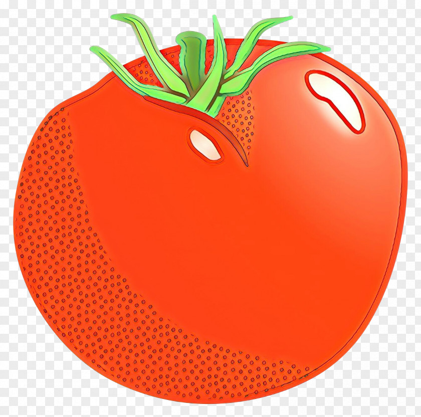Solanum Vegetable Orange PNG