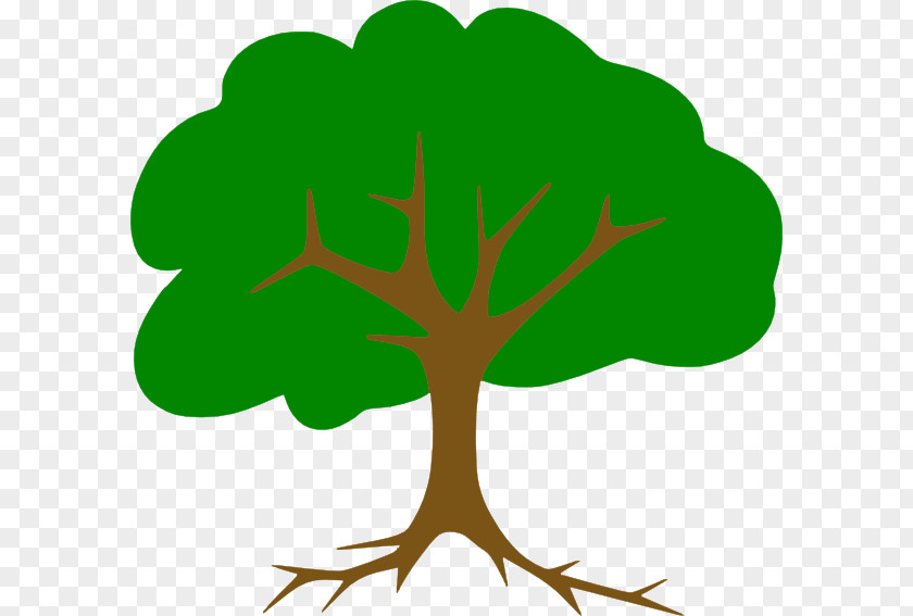 Tree Root Clip Art PNG