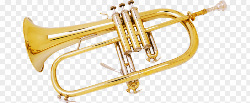 Trumpet French Horns Clip Art PNG