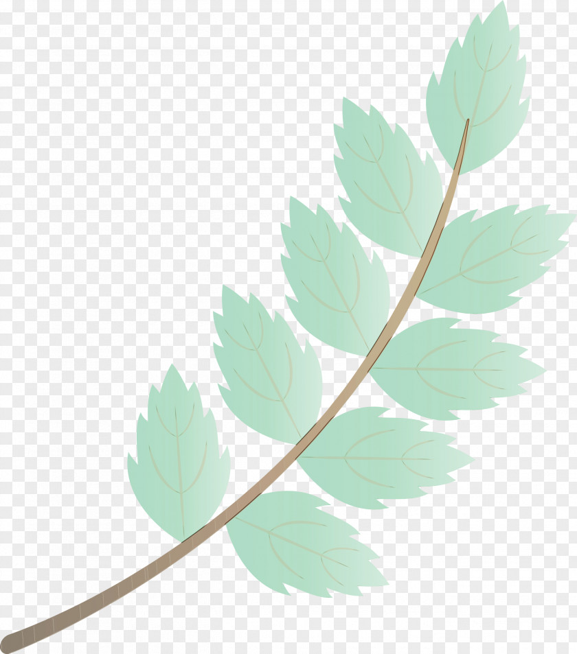 Twig Leaf Plant Stem Autumn PNG
