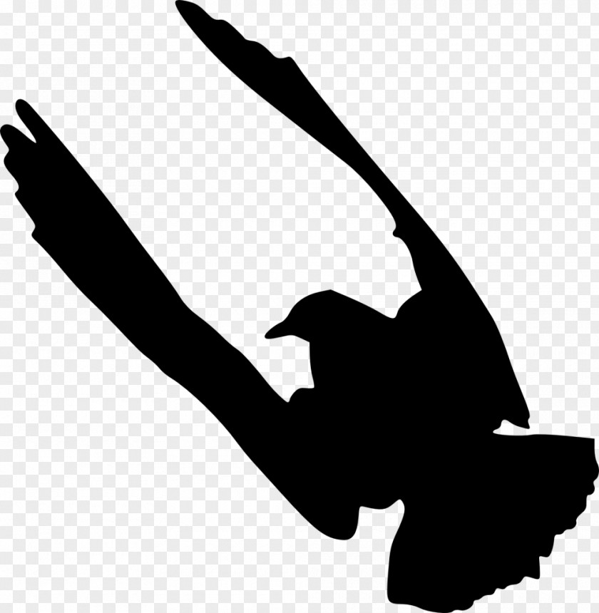 Birds Silhouette Bird Clip Art PNG