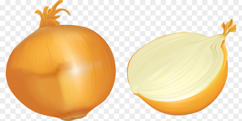 Delicious Onion Yellow Gratis PNG