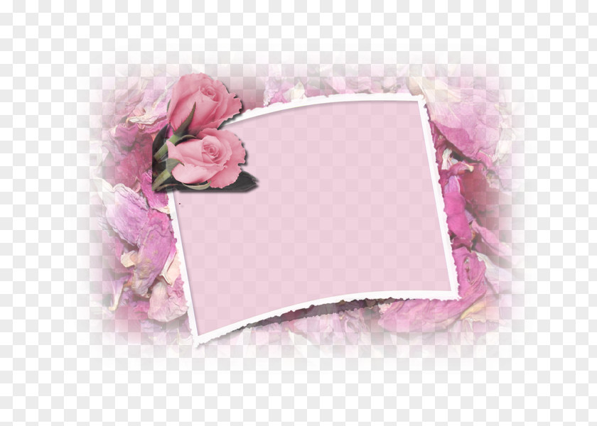 Flower Petal Picture Frames Pink M PNG