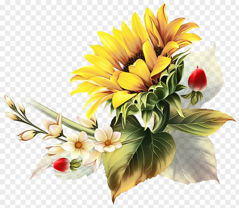 Tulip Gerbera Bouquet Of Flowers Drawing PNG