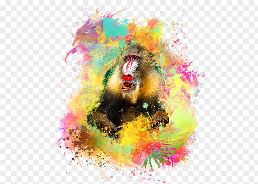 Wildlife Watercolor Paint Mandrill Old World Monkey PNG