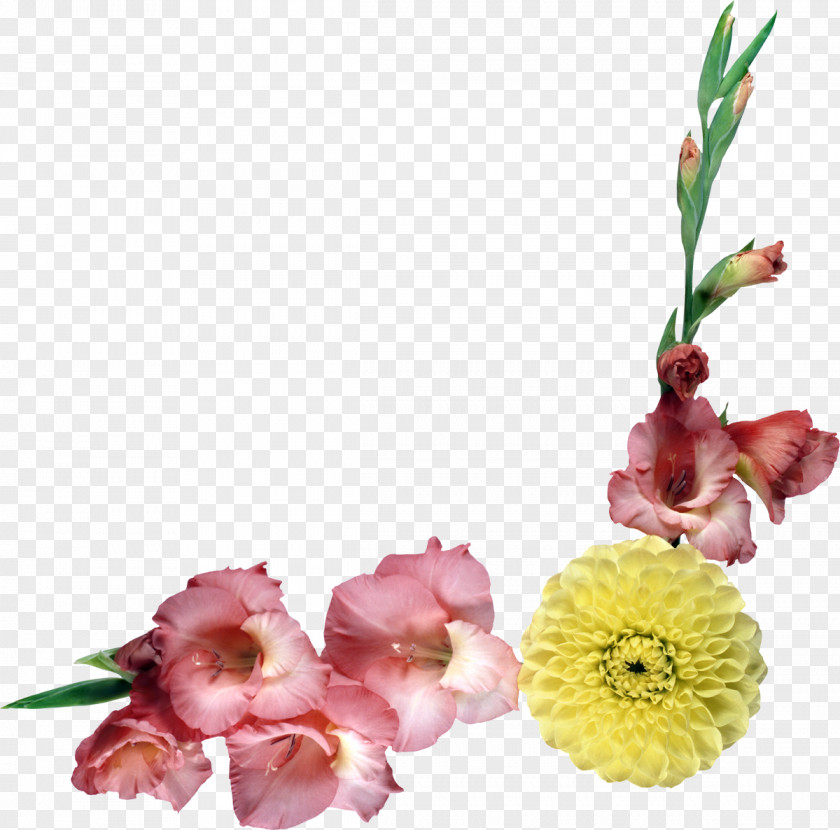 Chrysanthemum Flower Template PNG