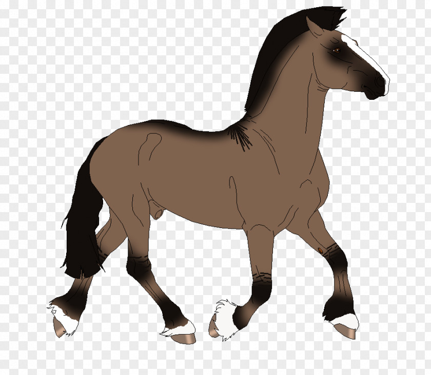 Colored Cross Friesian Stallions Mustang Mare Foal Stallion Rein PNG