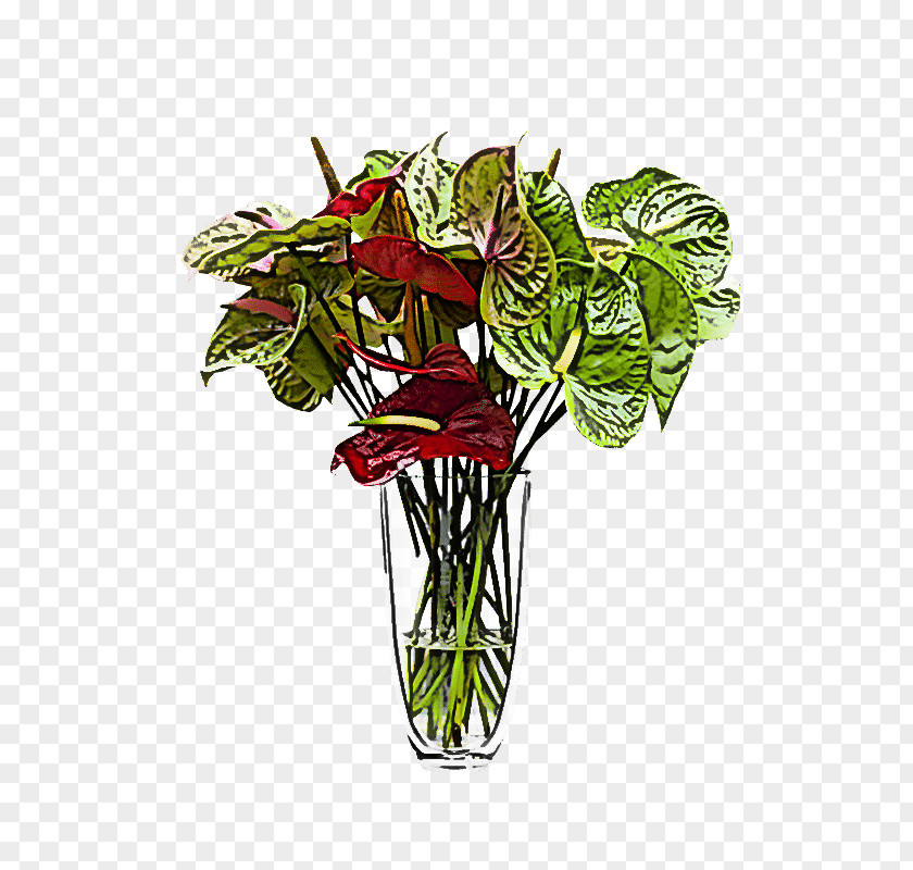 Flower Plant Anthurium Flowerpot Cut Flowers PNG