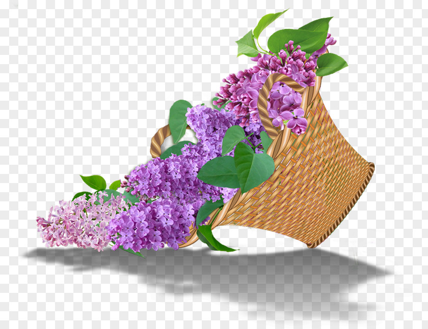 Lilac Floral Design Cut Flowers Garden Roses PNG