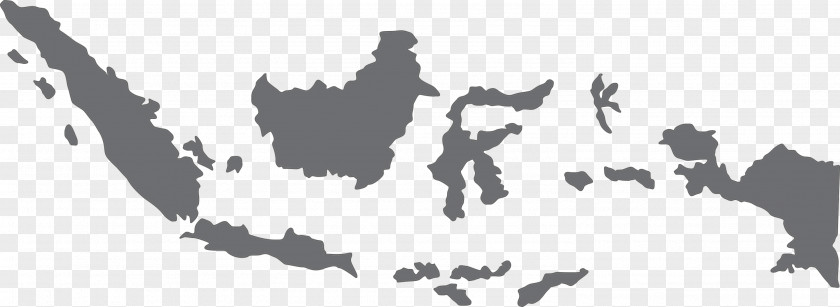 Map Indonesia Globe Blank PNG