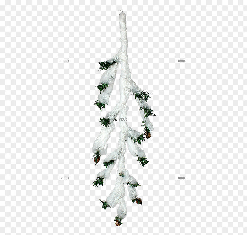 Christmas Tree Spruce Ornament Fir Pine PNG