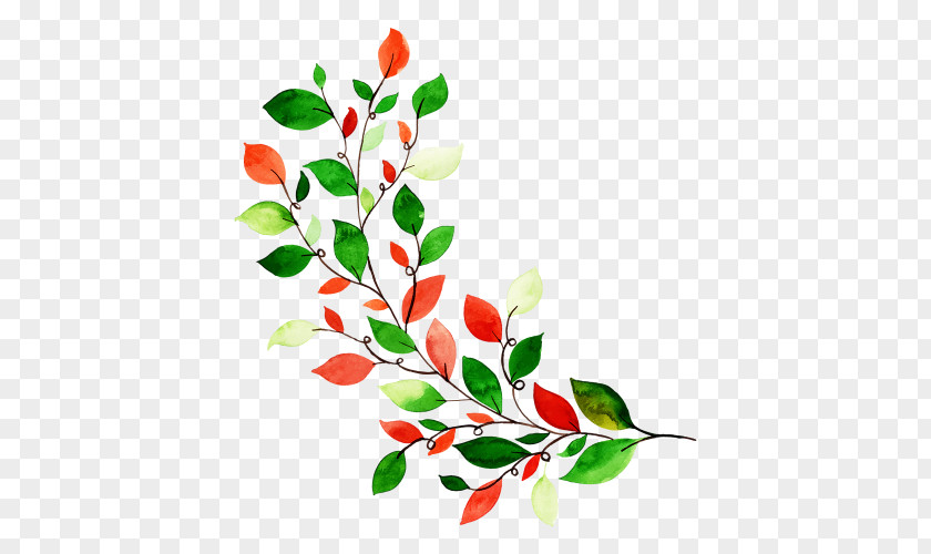 Tree Holly Flowers Background PNG
