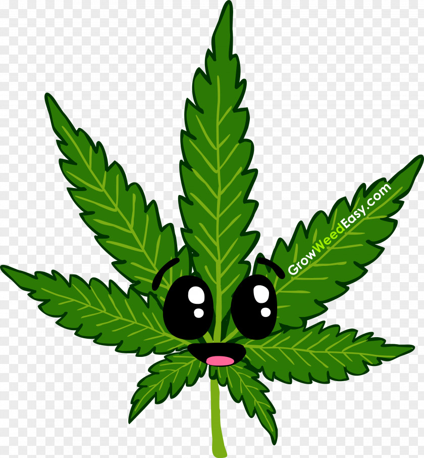 Cannabis 420 Day Stoner Film Birthday PNG