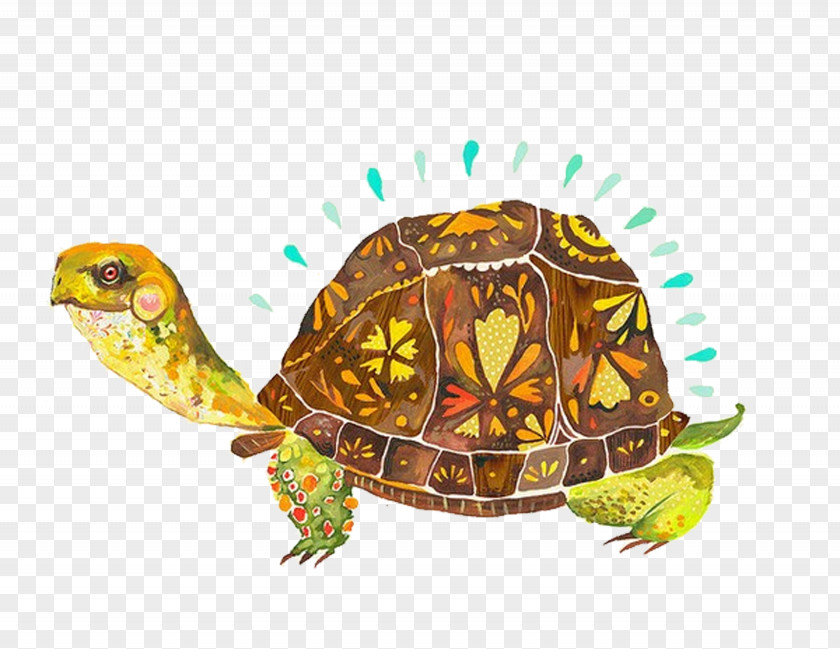Cartoon Watercolor Turtle Paper Painting Illustrator Artist PNG