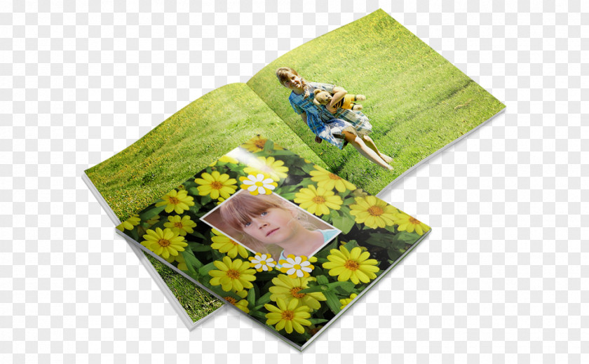 Design Paper Photo-book Printing Photography PNG
