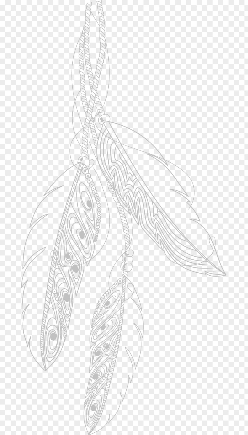 Feather Line Art Invertebrate Leaf PNG
