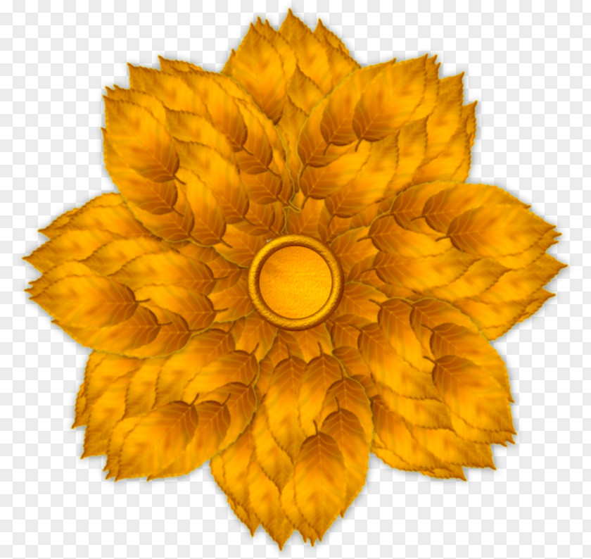 Flower Common Sunflower Petal Leaf Clip Art PNG