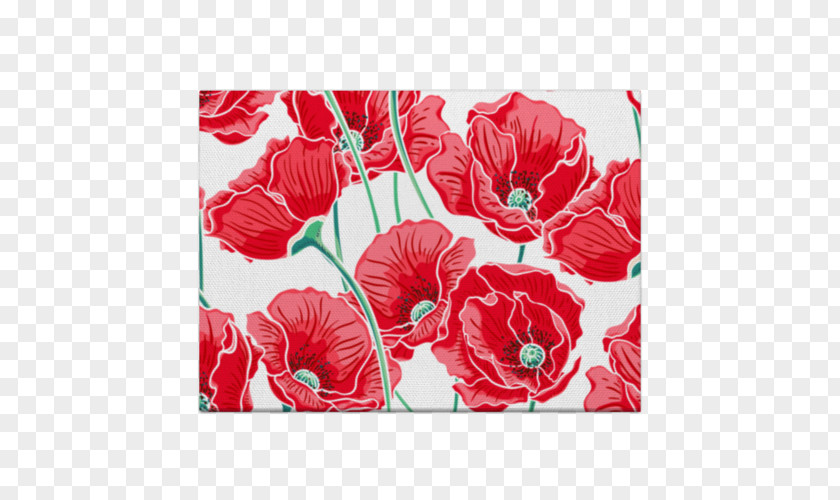 Flower Remembrance Poppy Red PNG