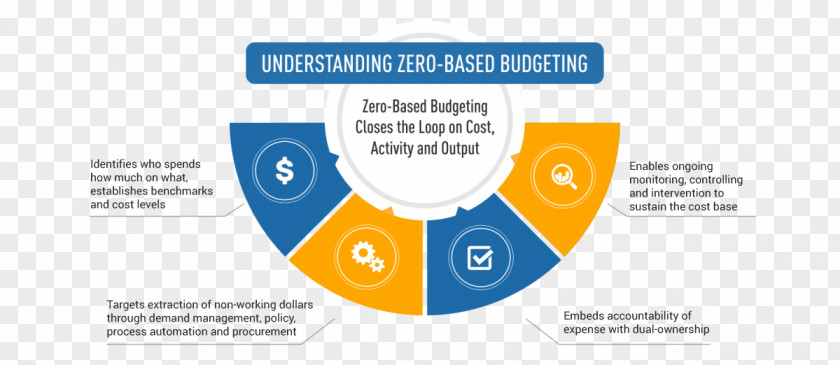 Location Of Kidney Pain In Women Zero-based Budgeting Cost Reduction Procurement PNG