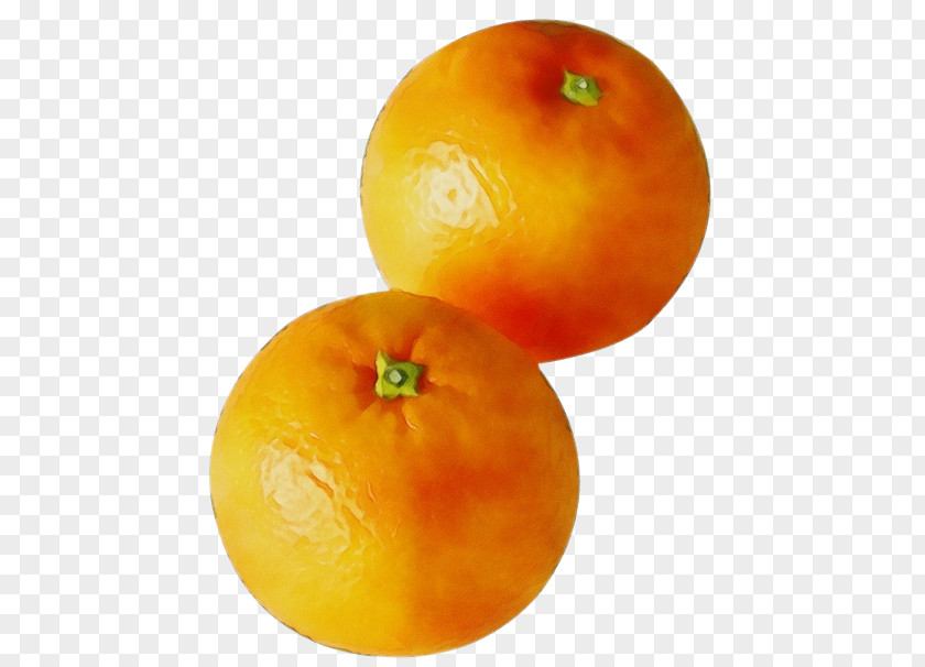 Mandarin Orange Seedless Fruit PNG