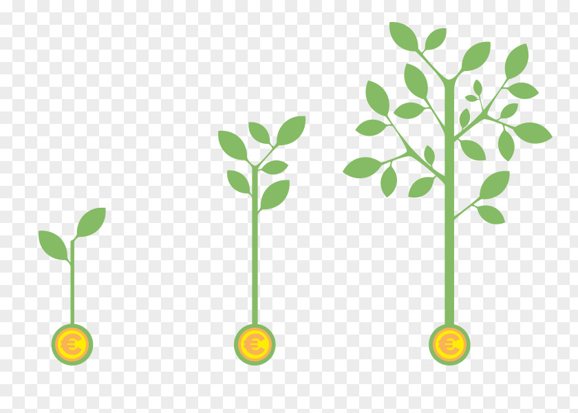 Plant Infographic PNG