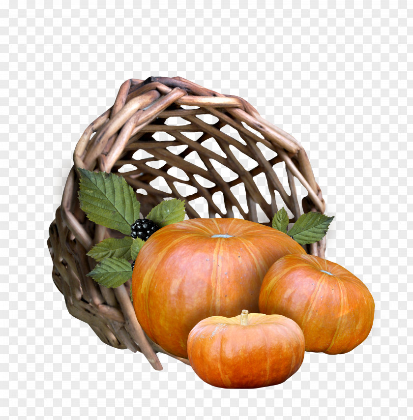 Pumpkin Harvest Calabaza Cucurbita Clip Art PNG
