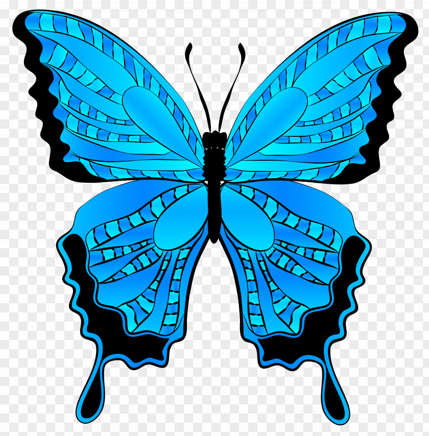 Butterfly Clip Art Morpho Menelaus PNG