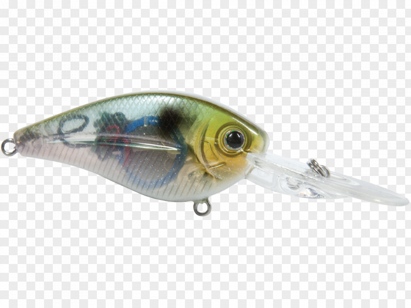 Gizzard Spoon Lure Perch Oily Fish AC Power Plugs And Sockets PNG