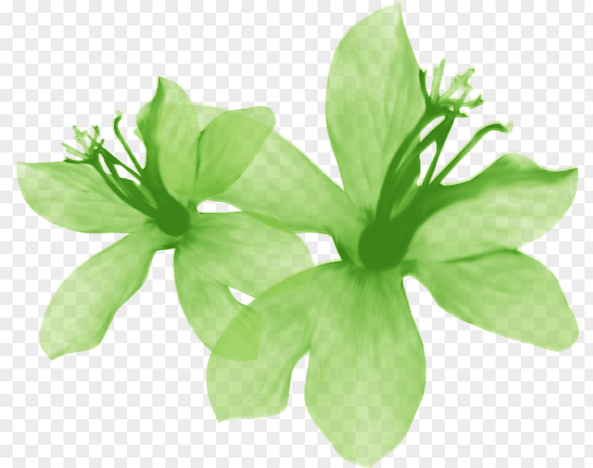 Land Cress Greens Image Ink Wash Painting Clip Art Download PNG