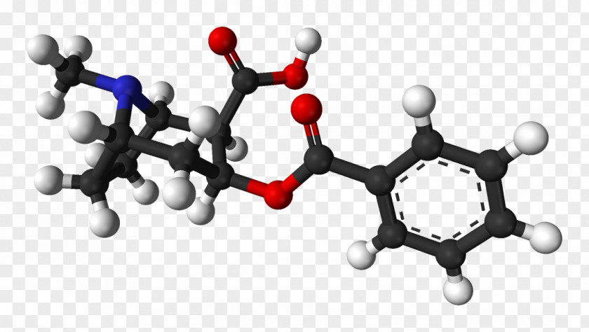 Mesh Crack Benzoylecgonine Cocaethylene Cocaine Tropane PNG