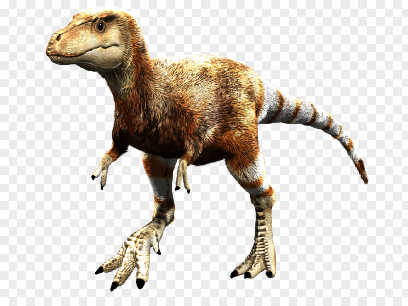 Tyrannosaurus Baby Rex Velociraptor Daspletosaurus Dinosaur PNG