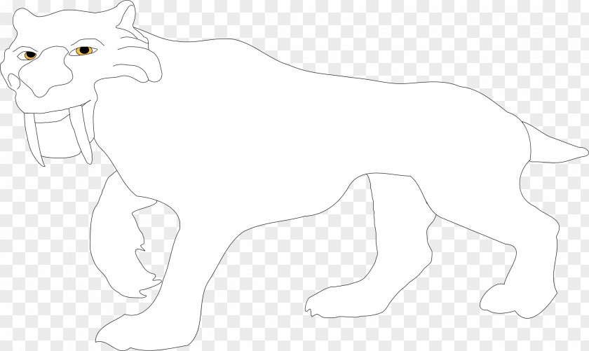 Whiskers Cat Dog Horse Mammal PNG