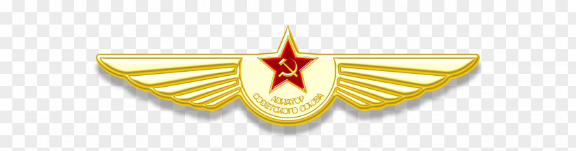 Aircraft United States Aviator Badge 0506147919 Pilotwings PNG