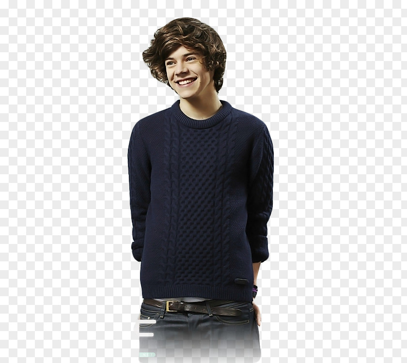 Harry Styles Take Me Home Tour The X Factor One Direction PNG