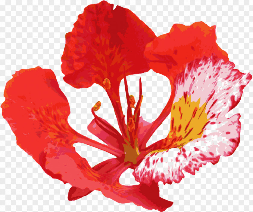 Red Flower Ppt PNG