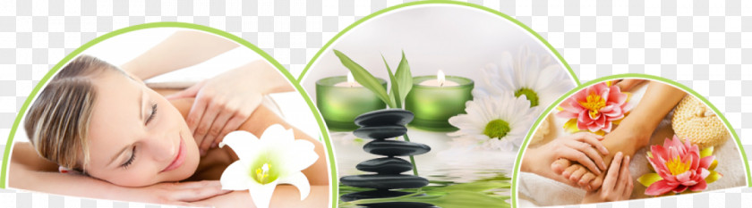 Amrita Spa Beauty Parlour Massage Pedicure PNG