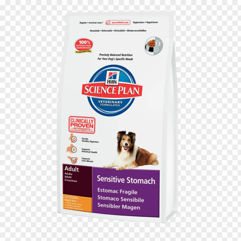 Dog Cat Puppy Science Diet Hill's Pet Nutrition PNG