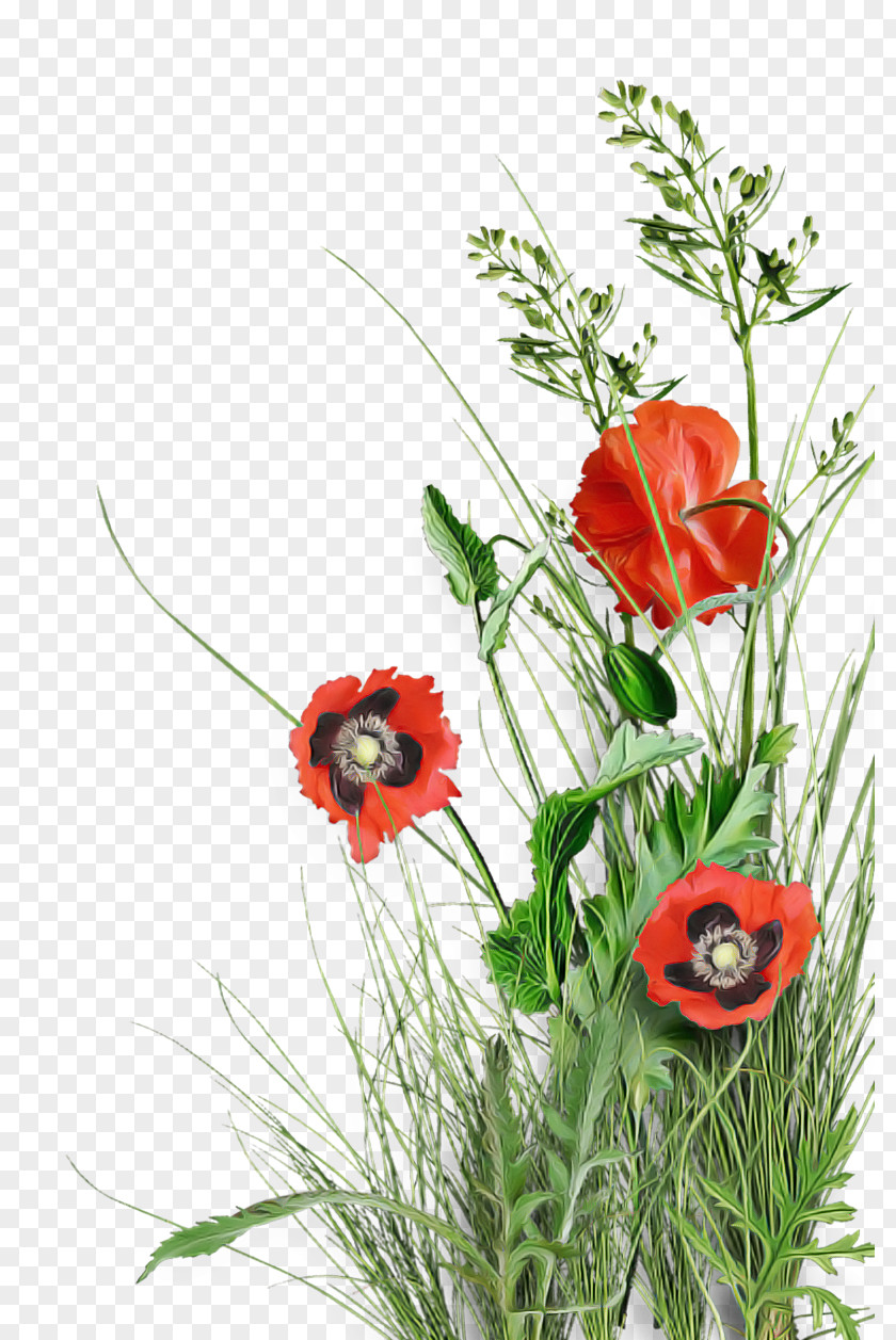 Floral Design PNG