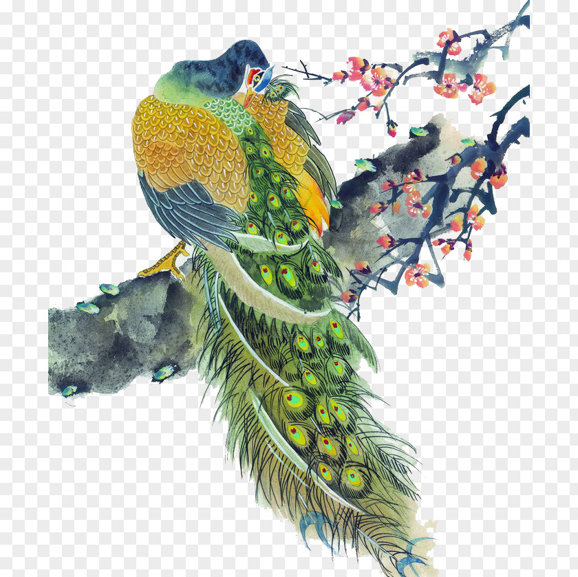 Ink Peacock Bird Peafowl Painting Feather PNG